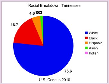 Racial breakdown in Tennessee
