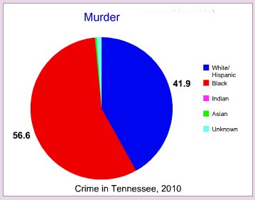 Murder rate by race in Tennessee