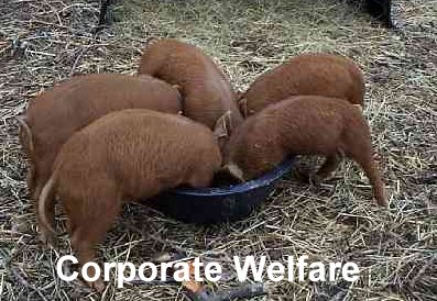 Corporate welfare is crony capitalism.