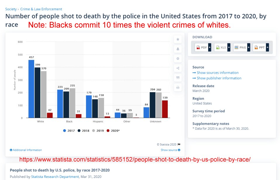 Number of people shot to death by police 2017-2020.