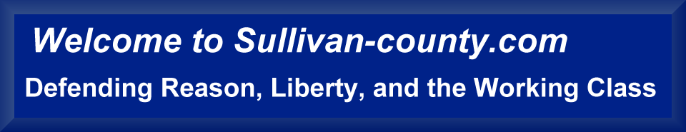 banner sullivan-county.com